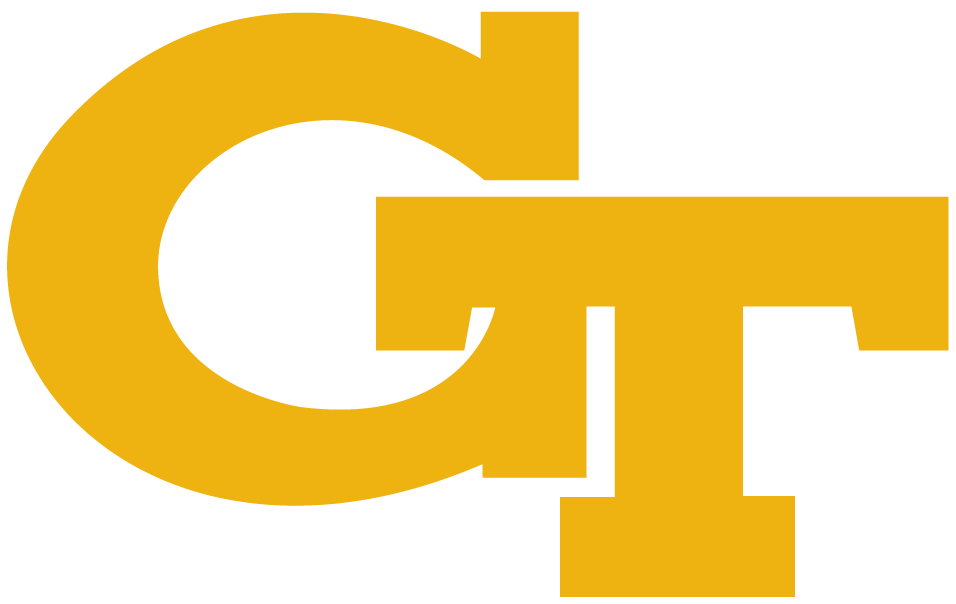 Georgia Tech Yellow Jackets 1969-Pres Alternate Logo v2 diy fabric transfer